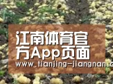 种植基地八(图1)